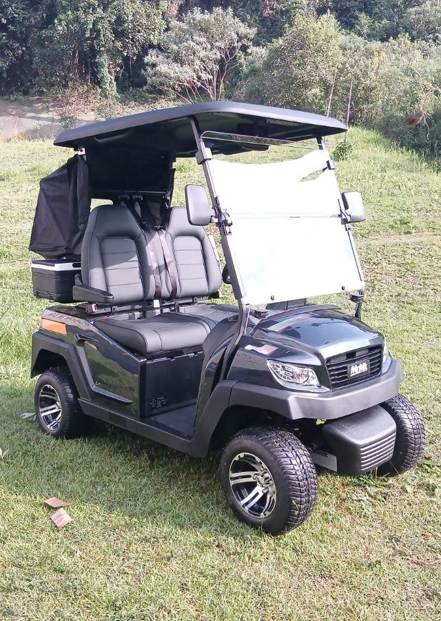 Cart elétrico 2 lugares